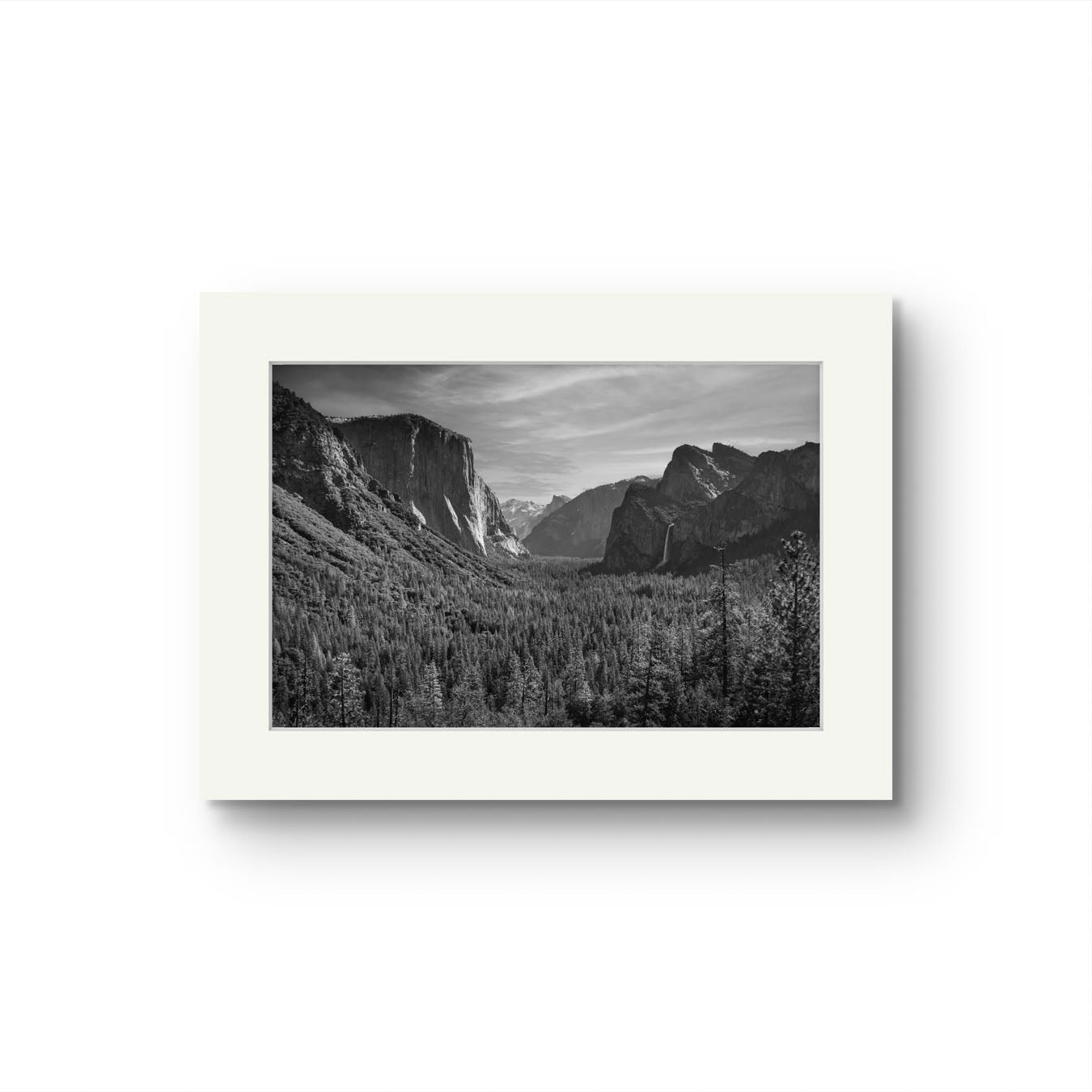 Legacy of Light: Ansel Adams' Yosemite #NAL008