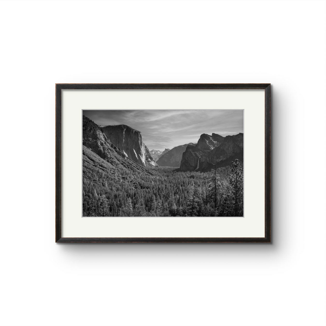 Legacy of Light: Ansel Adams' Yosemite #NAL008